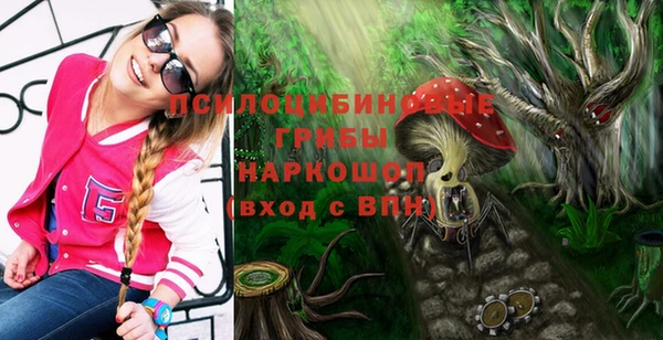 СК Аркадак