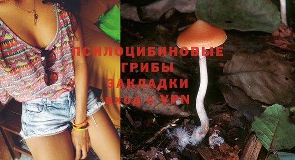 кокс Арсеньев
