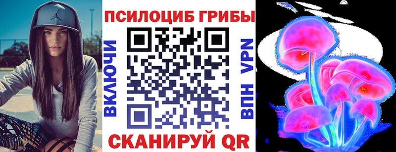 купить закладку  Городец  Галлюциногенные грибы мицелий 